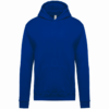 Light Royal Blue