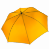 Yellow / Dark Grey
