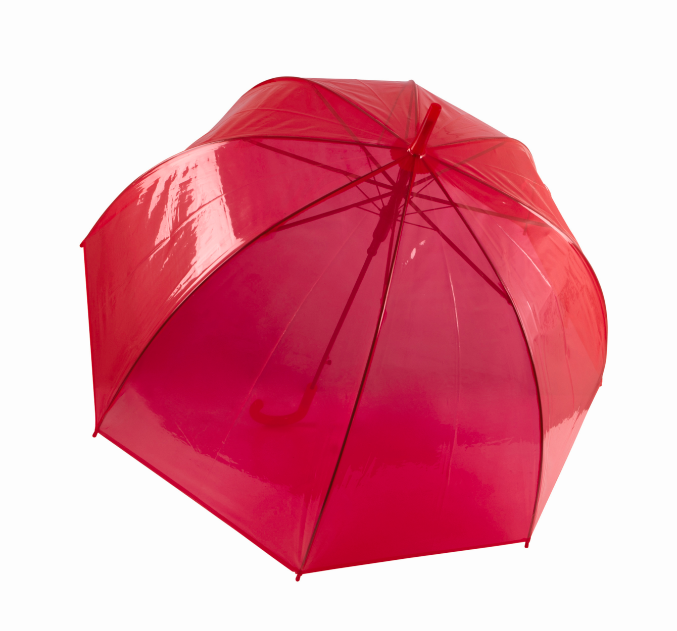 orgaan veel plezier camera Transparante Paraplu – BSB Shop