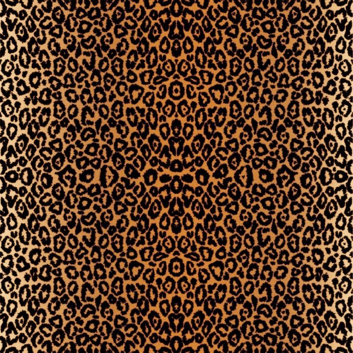 Cricut Infusible Ink Transfer Sheet Patterns Leopard 2006772 - Afbeelding 3