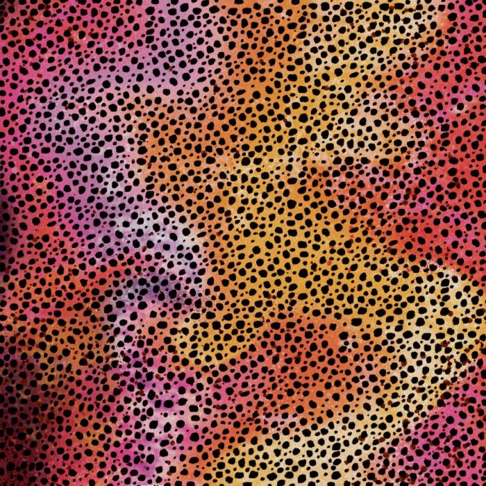 Cricut Infusible Ink Transfer Sheet Patterns Rainbow Cheetah 2006773 - Afbeelding 3