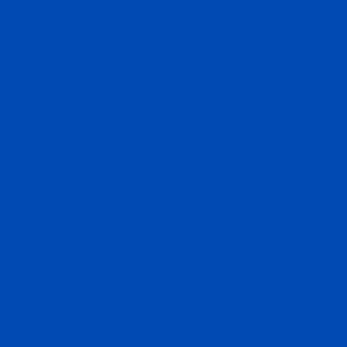 Cricut Infusible Ink Transfer Sheets True Blue 2006786 - Afbeelding 2