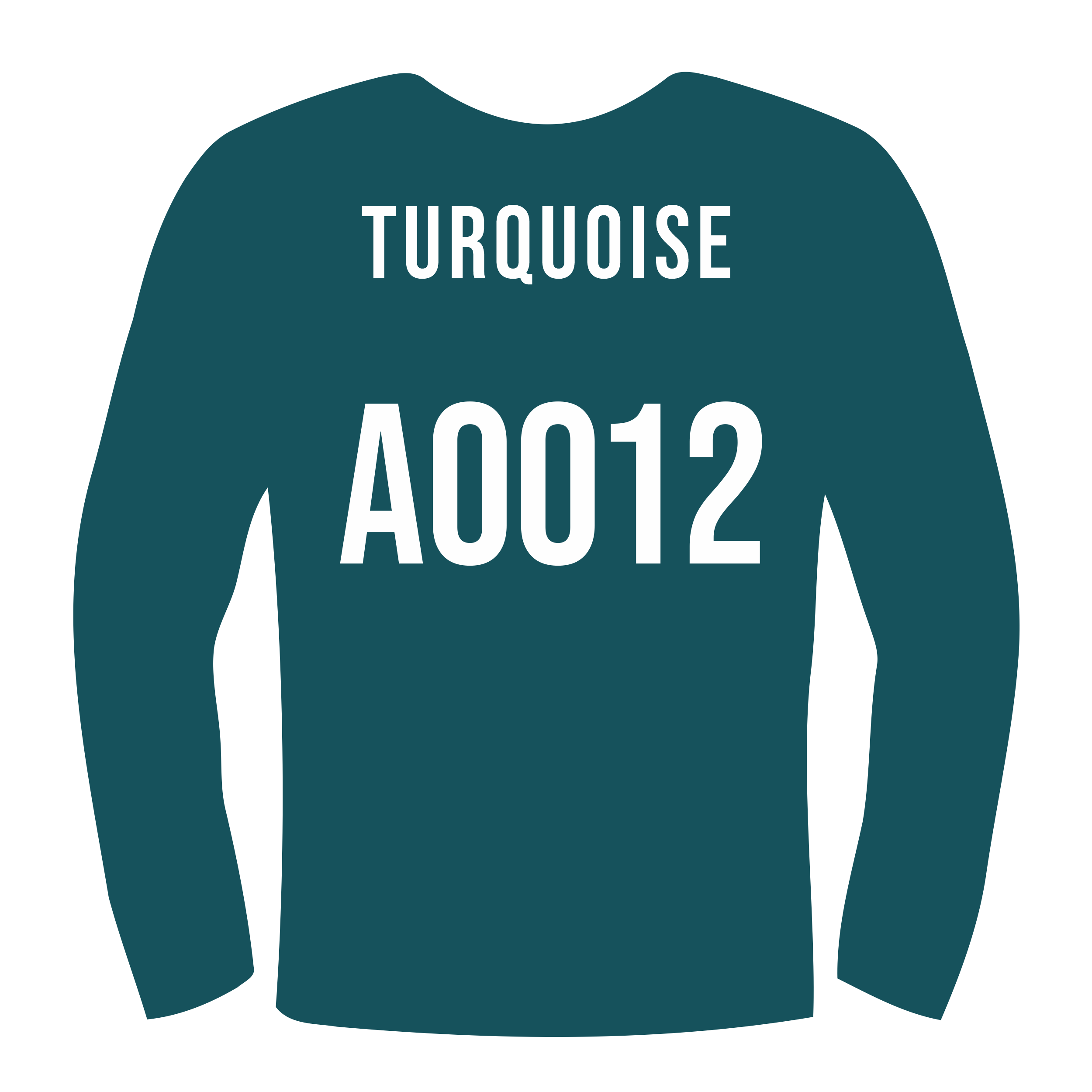 Siser PS Film Easyweed A0012 Turquoise