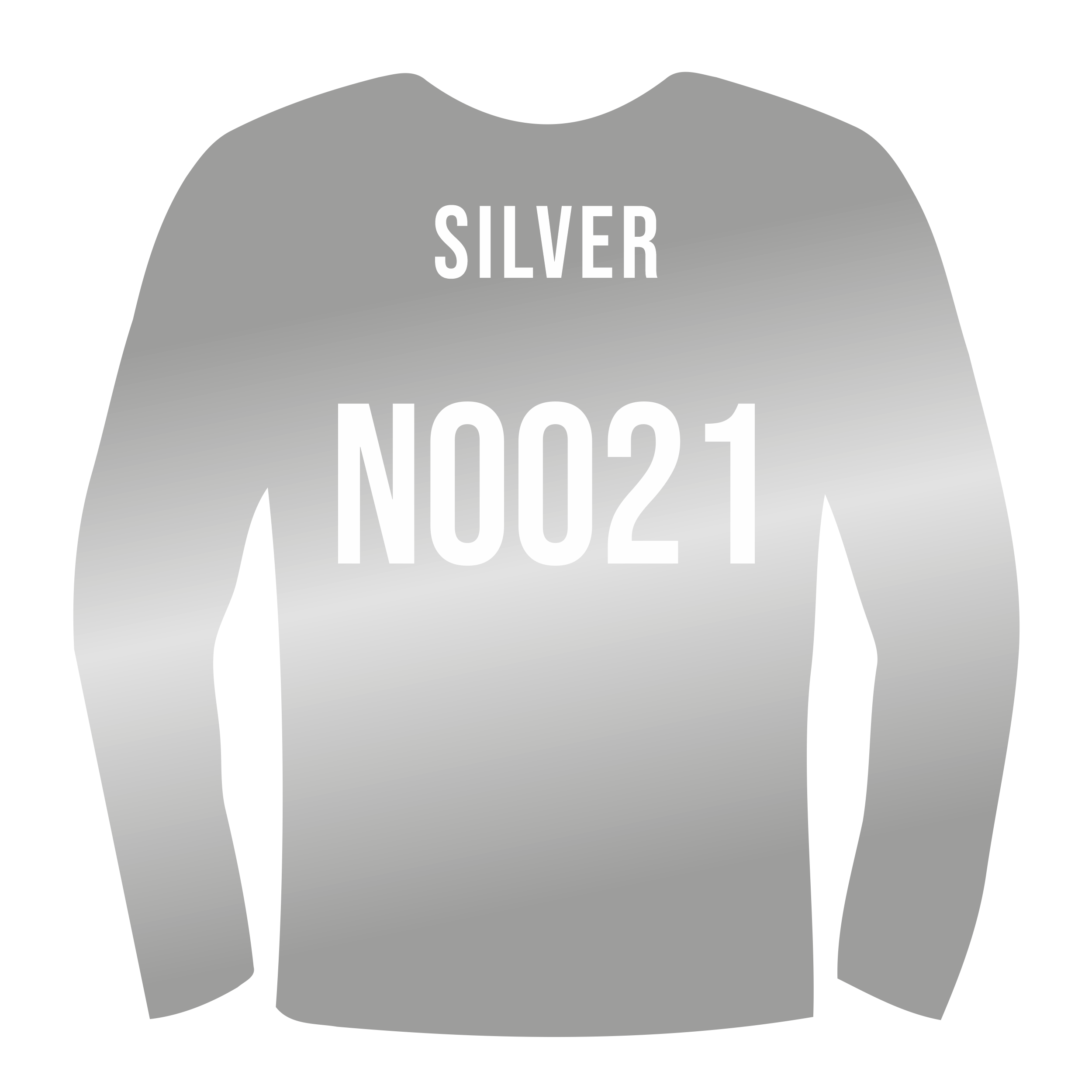 Siser PS Film Extra Easyweed N0021 Silver