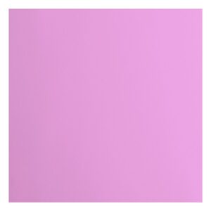 Florence Cardstock Smooth Hydrangea 30,5 x 30,5 cm