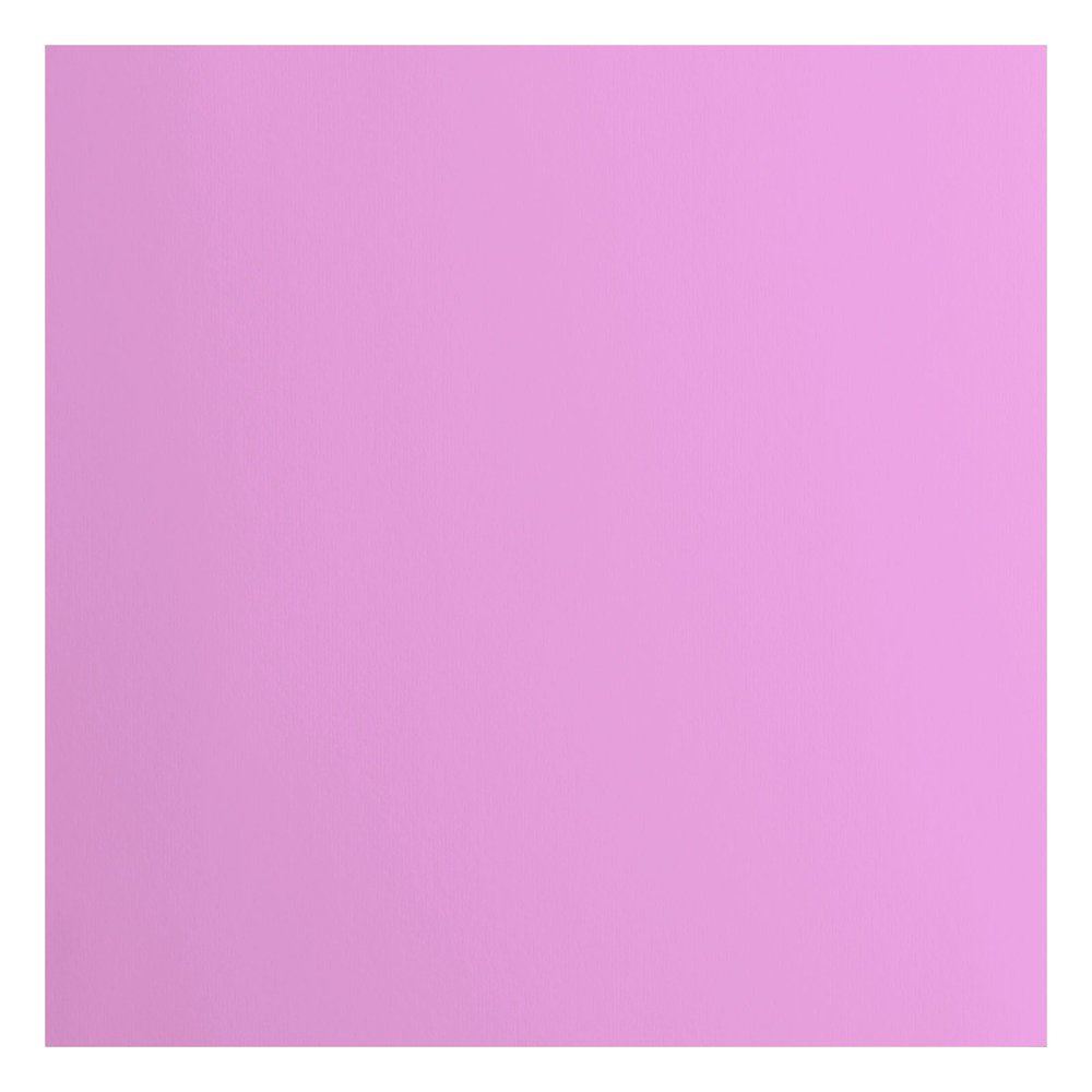 Florence Cardstock Smooth Hydrangea 30,5 x 30,5 cm