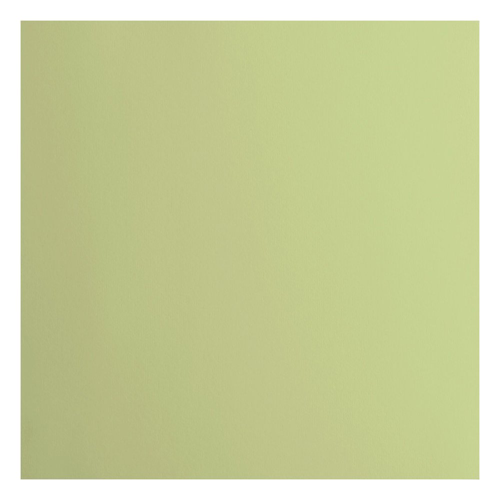 Florence Cardstock Smooth Anise 30,5 x 30,5 cm