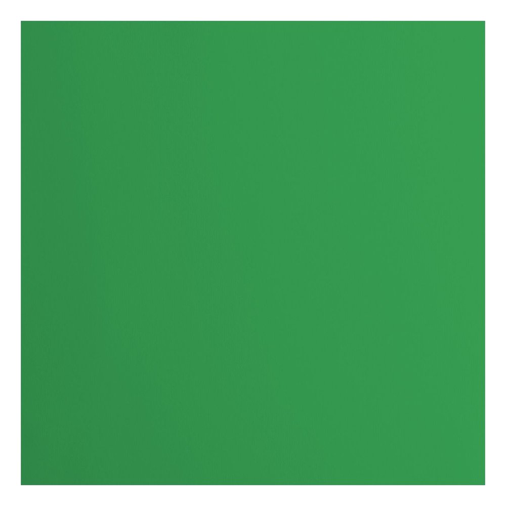 Florence Cardstock Smooth Holly 30,5 x 30,5 cm