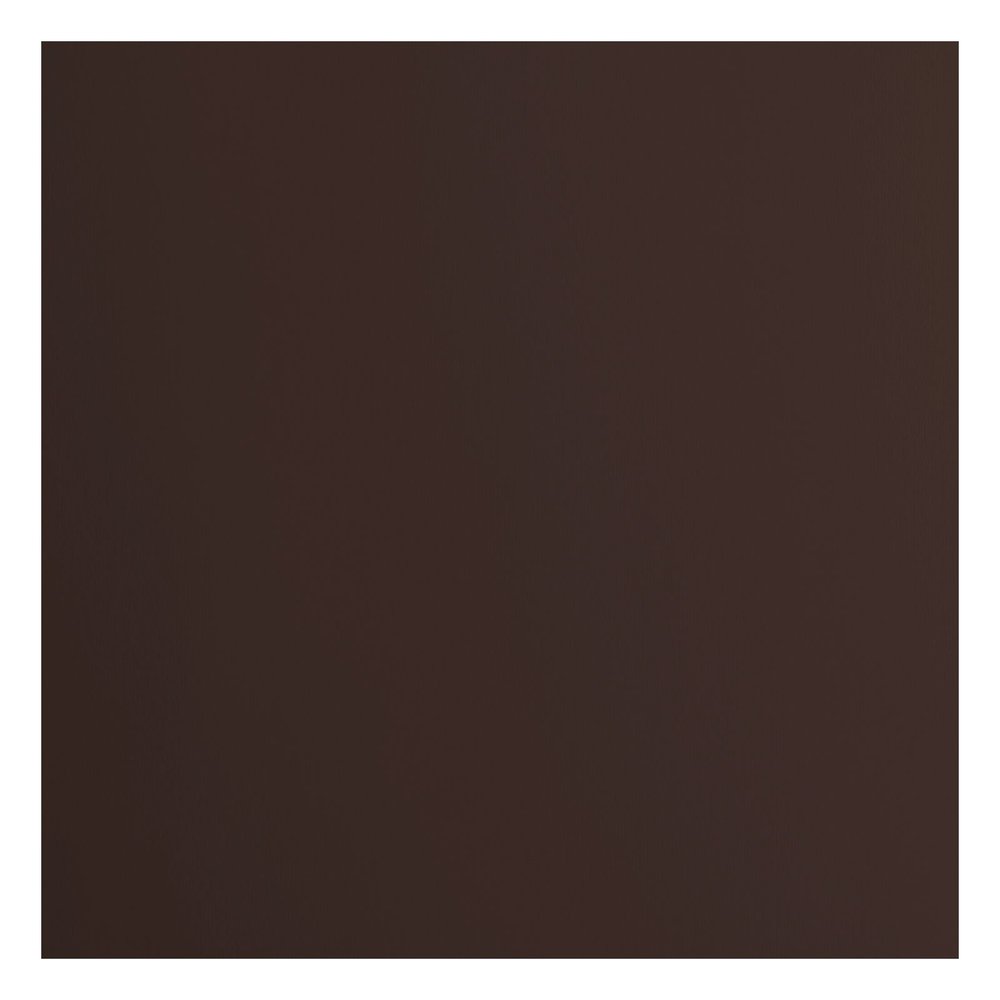 Florence Cardstock Smooth Bear 30,5 x 30,5 cm