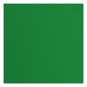 Florence Cardstock Texture Broccoli 30,5 x 30,5 cm
