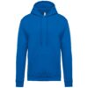 Light Royal Blue