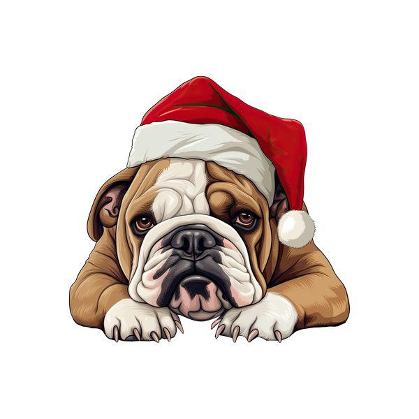 Kerst DTF Transfer 255