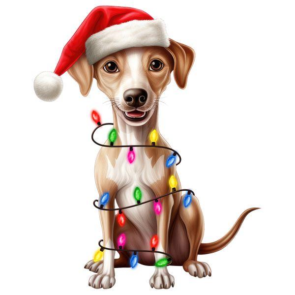 Kerst DTF Transfer 269