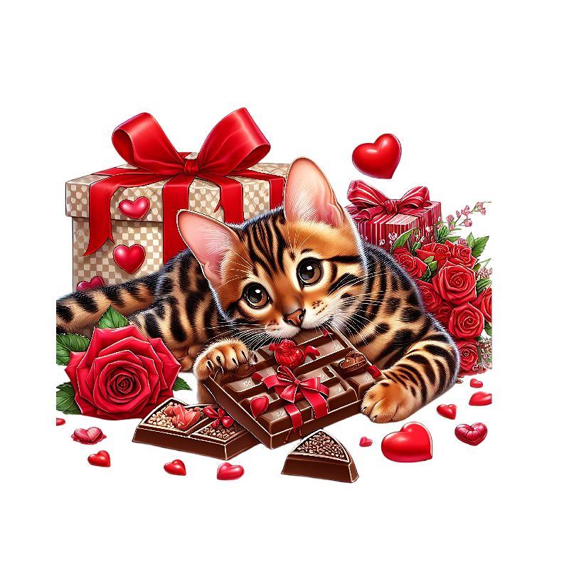 Valentijn/Liefde DTF Transfer 185
